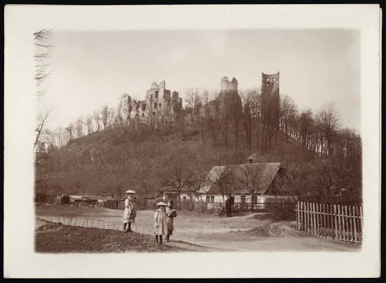 <br />Ruins of Zvířetice Castle